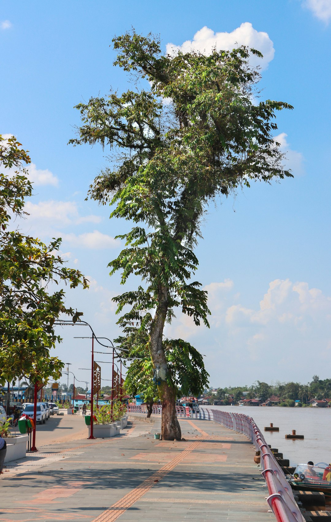 Vancouver's Best Coffee Shops